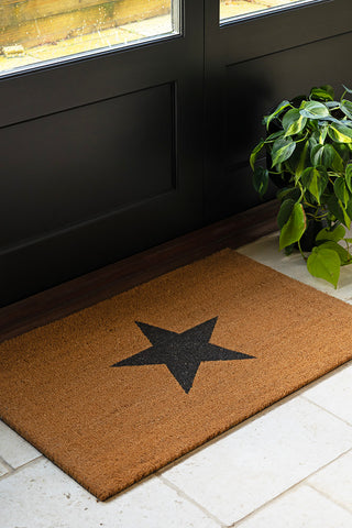 The Large Star Doormat on the floor next to a plant.