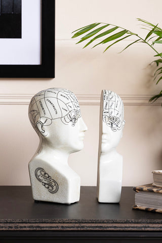 The Phrenology Head Ornament displayed on a sideboard with some books, a plant and an art print.