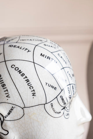 Close-up of the text on the top of the Phrenology Head Ornament.