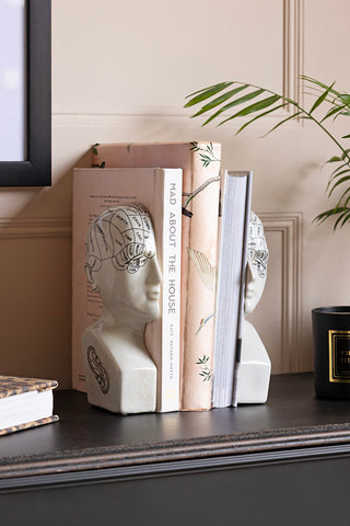 The Phrenology Head Ornament styled as bookends on a sideboard, with books, a candle and a plant.