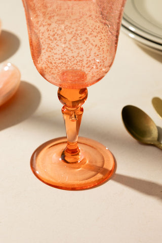 Acrylic Coral Pink Picnic Wine Glass