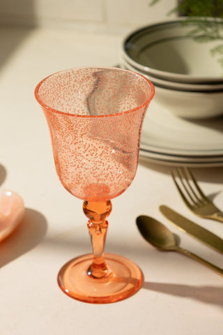 Acrylic Coral Pink Picnic Wine Glass