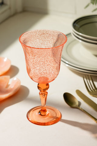 Acrylic Coral Pink Picnic Wine Glass