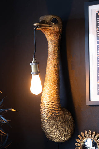 The Antique Bronze Ostrich Wall Light switched on and seen from an angle, displayed on a black wall with a framed print and mirror above a faux plant.