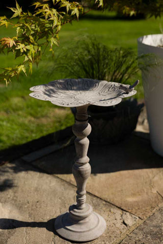 The Beautiful Bird Bath On Stand displayed on a patio in the sunshine, styled with various plants in the background.