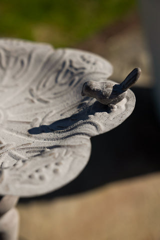 Close-up shot of the bird detail on the Beautiful Bird Bath On Stand.
