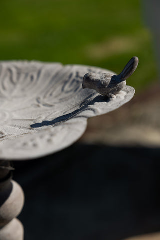 Detail shot of the bird detail on the Beautiful Bird Bath On Stand.
