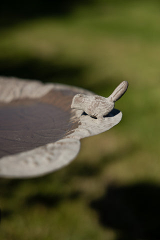 Close-up image of the Beautiful Bird Bath On Stand, showing the bird detail.