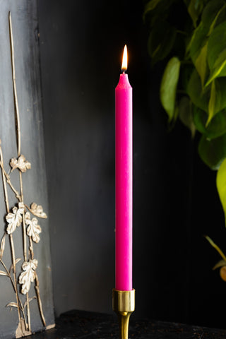 Beautiful Dinner Candle - Hot Pink against dark wall with plant 