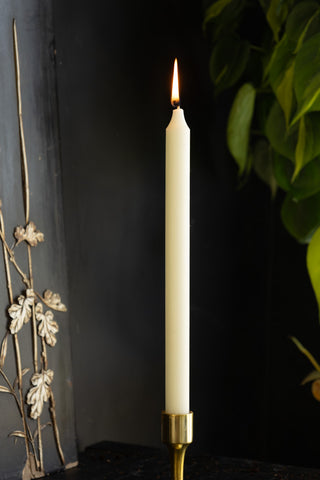 Beautiful Dinner Candle - Ivory against dark wall with plant 