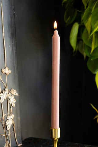 Beautiful Dinner Candle - Old Rose against dark wall with plant