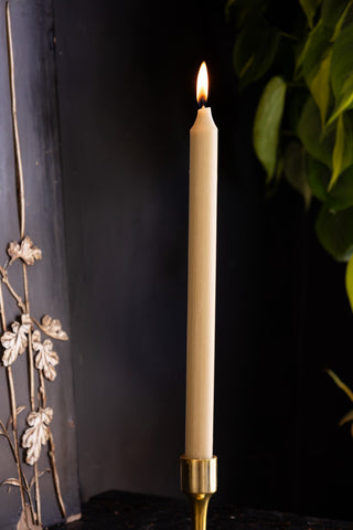 Beautiful Dinner Candle - Dusky Rose Pink against dark wall with plant