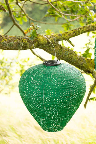 The Bell Shaped Green Outdoor Garden Lantern shown hanging on a branch.