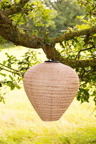 The Bell Shaped Peach Outdoor Garden Lantern hanging from a tree.