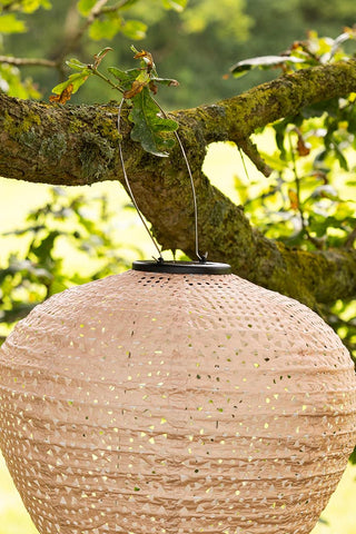 Close-up of the Bell Shaped Peach Outdoor Garden Lantern hanging from a branch.