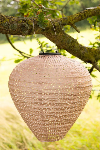 The Bell Shaped Peach Outdoor Garden Lantern hanging from a tree branch.