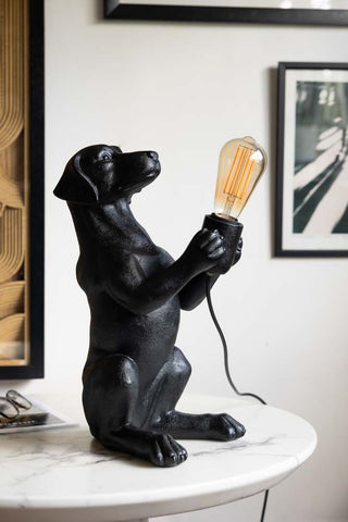 The Quirky Black Dog Lamp on a table, with some glasses on a magazine, with art on the wall in the background.