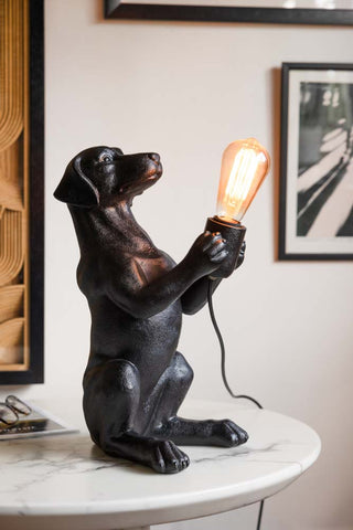 The Quirky Black Dog Lamp switched on and displayed on a white marble table with a magazine and some glasses, with framed artwork on the wall in the background.