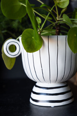 Close-up of the Black & White Stripe Vase with Handles styled on a black surface, with a plant inside.