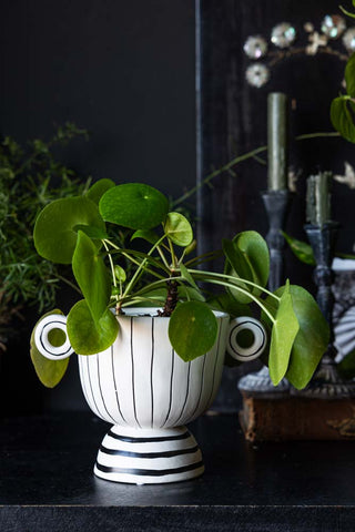 The Black & White Stripe Vase with Handles styled with a plant inside, displayed on a black surface with other plants and home accessories in the background.