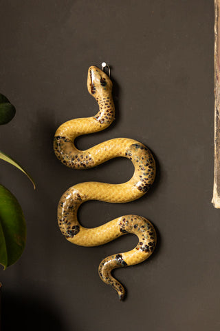 Close-up of the Ceramic Snake Wall Art displayed on a black wall, with a plant to the side of the shot.