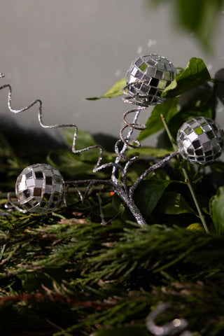 Close-up of the Disco Ball Clip on Christmas Decoration on a conifer branch.