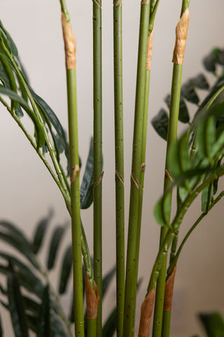 Close-up of the stems of the Extra Large Faux Bamboo Tree.