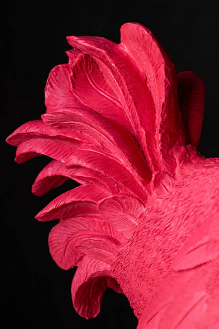 Detail shot of the tail feathers on the Fabulous Pink Ostrich Floor Lamp.