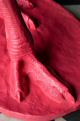 Detail shot of the feet on the Fabulous Pink Ostrich Floor Lamp.