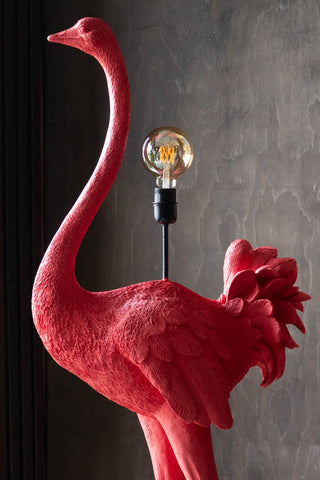 Close-up of the Fabulous Pink Ostrich Floor Lamp in front of a dark wall.