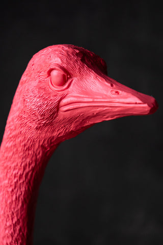 Close-up of the face of the Fabulous Pink Ostrich Floor Lamp.