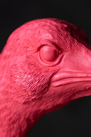 Detail shot of the face of the Fabulous Pink Ostrich Floor Lamp.