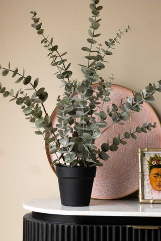 Lifestyle image of the Faux Eucalyptus Plant In Pot agaisnt light background