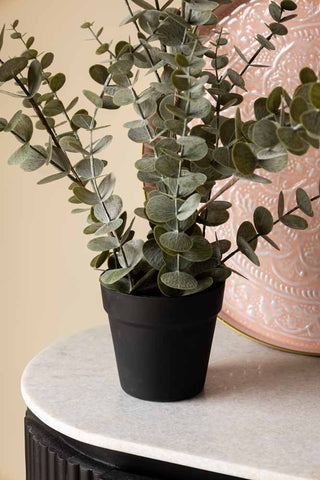 Close up image of the Faux Eucalyptus Plant In Pot against light background