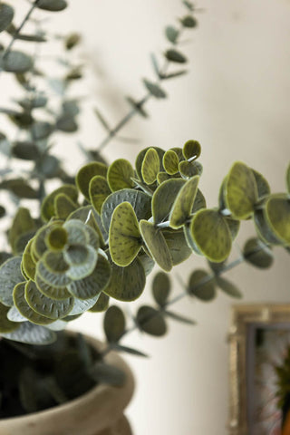 Detail image of the Faux Eucalyptus Plant In Pot agaisnt light background