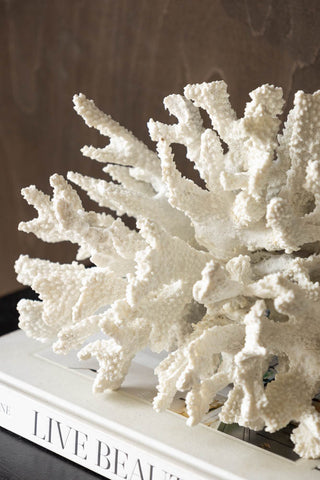 Detail of Faux Pure White Coral Ornament on book 