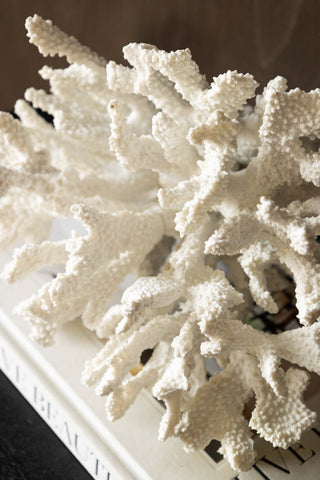 Faux Pure White Coral Ornament close up