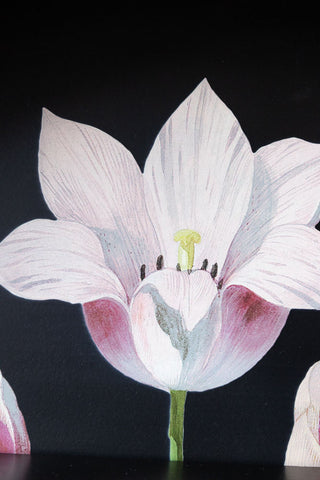 Close-up of one of the flowers on the Floral & Black Metal Display Shelves.