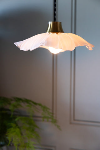 The Frosted Flower Daisy Glass Easyfit Ceiling Light Shade with the light switched on, hanging in front of a dark wall with a plant in the background.