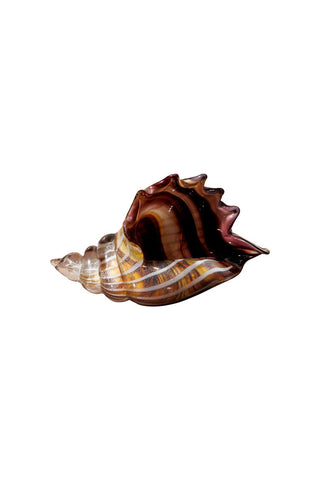 Cutout image of the Glass Conch Shell Paperweight Ornament on a white background.