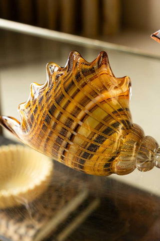 Close-up image of the Glass Conch Shell Paperweight Ornament displayed on a glass table.