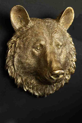 Close-up of a bear head ornament on a black wall.