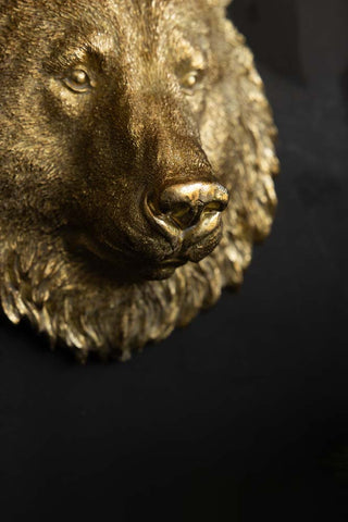 Close-up of the nose of a bear head ornament on a black wall.