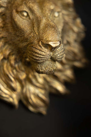 Close-up of a gold lion ornament on a black wall.