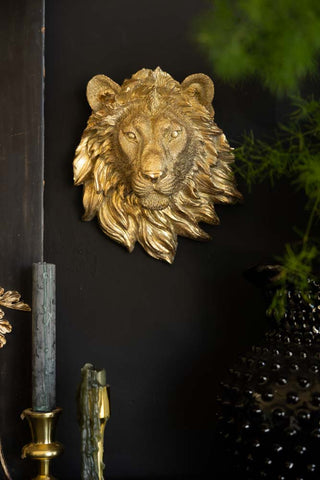 A gold lion head ornament on a black wall, displayed with some greenery, a jug and some candles.