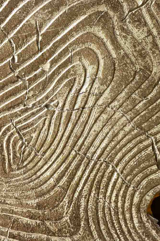 Detail shot of the surface of the Golden Tree Stump Small Side Table.