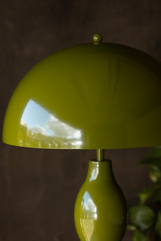 Close-up of the shade of the Green Wavy Retro Floor Light, styled in front of a dark wall and a plant.