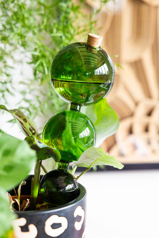 Close-up of the Green Glass Self-Watering Pipette styled in a potted plant.