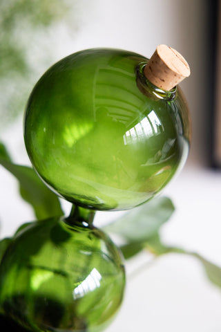 Detail shot of the top of the Green Glass Self-Watering Pipette.