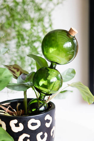 The Green Glass Self-Watering Pipette displayed inside a potted plant.